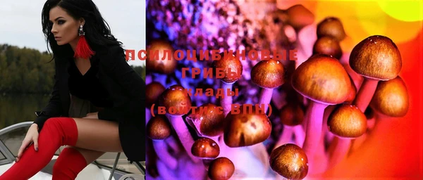 бошки Инта