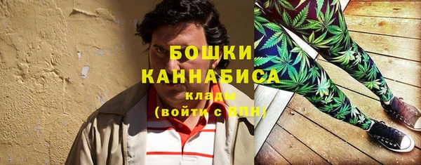 соль ск Шали