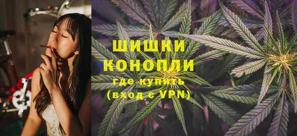 бошки Инта